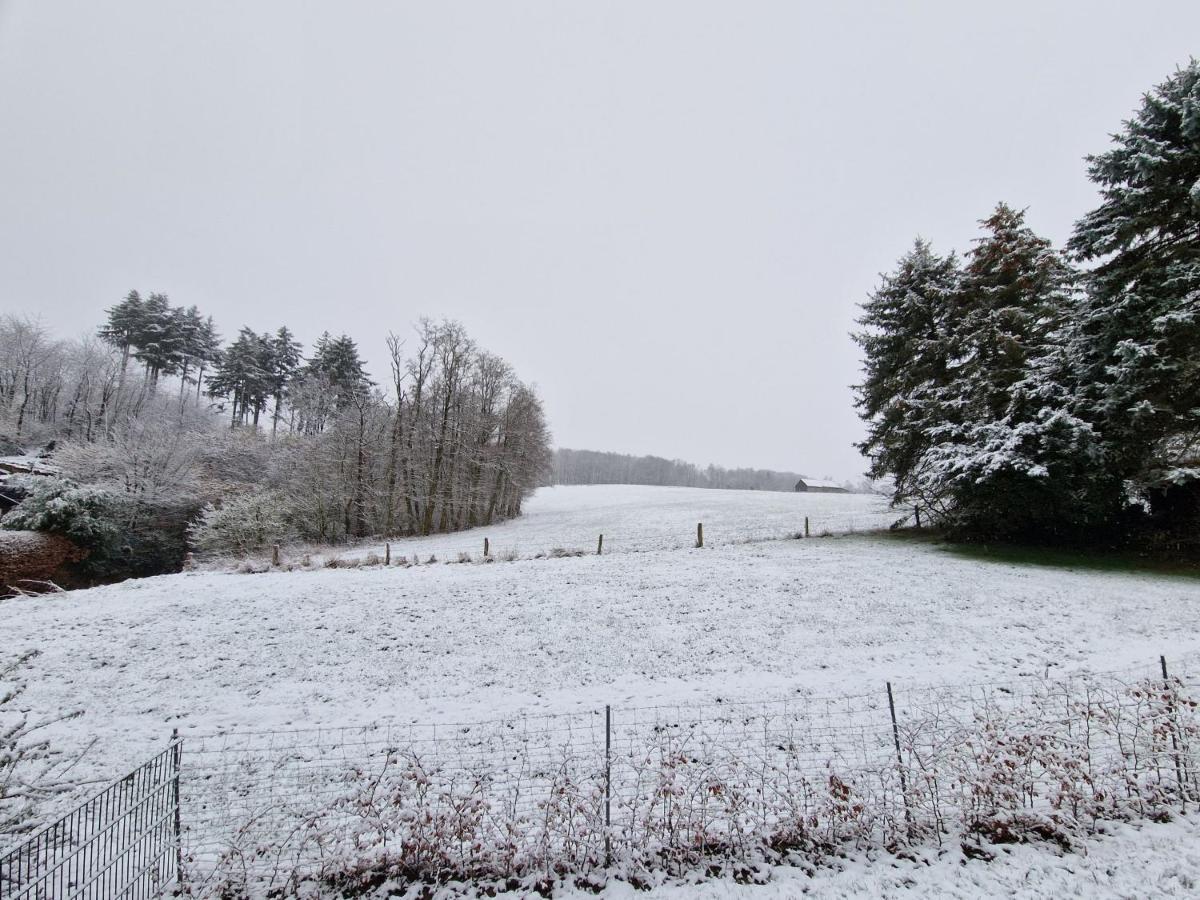 Ferienwohnung Arnsberger Wald Möhnesee Exterior foto